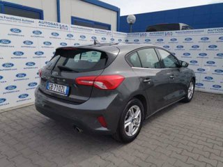 FORD Focus 1.5 EcoBlue 120 CV automatico 5p. Business Co-Pilot