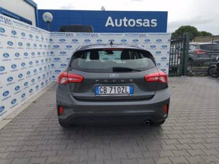 FORD Focus 1.5 EcoBlue 120 CV automatico 5p. Business Co-Pilot