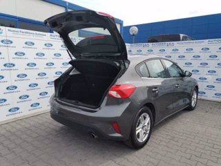 FORD Focus 1.5 EcoBlue 120 CV automatico 5p. Business Co-Pilot