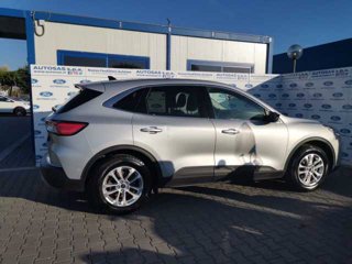 FORD Kuga 1.5 EcoBlue 120 CV 2WD Titanium