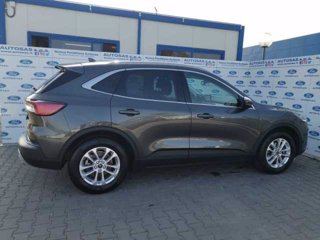 FORD Kuga 1.5 EcoBlue 120 CV 2WD Titanium