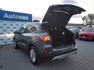 FORD Kuga 1.5 EcoBlue 120 CV aut. 2WD Titanium