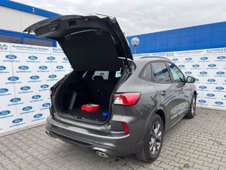 FORD Kuga 2.5 Full Hybrid 190 CV CVT 2WD ST-Line