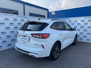 FORD Kuga 2.5 Plug In Hybrid 225 CV CVT 2WD ST-Line X