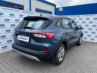 FORD Kuga 1.5 EcoBlue 120 CV 2WD Connect