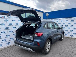 FORD Kuga 1.5 EcoBlue 120 CV 2WD Connect