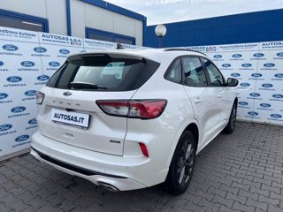 FORD Kuga 2.5 Plug In Hybrid 225 CV CVT 2WD ST-Line