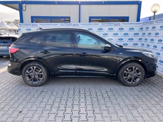 FORD Kuga 2.5 Full Hybrid 190 CV CVT 2WD ST-Line