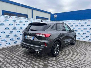 FORD Kuga 2.5 Plug In Hybrid 225 CV CVT 2WD ST-Line X