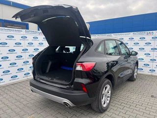 FORD Kuga 2.5 Full Hybrid 190 CV CVT 2WD Connect