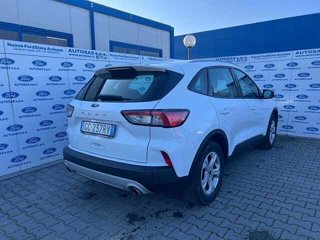 FORD Kuga 1.5 EcoBlue 120 CV 2WD Titanium Business