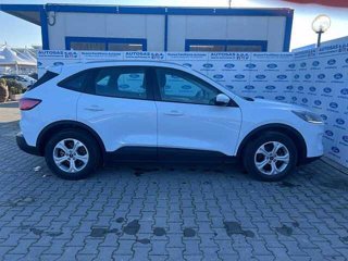 FORD Kuga 1.5 EcoBlue 120 CV 2WD Titanium Business