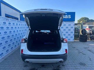 FORD Kuga 1.5 EcoBlue 120 CV 2WD Titanium Business