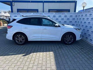 FORD Kuga 1.5 EcoBlue 120 CV 2WD ST-Line