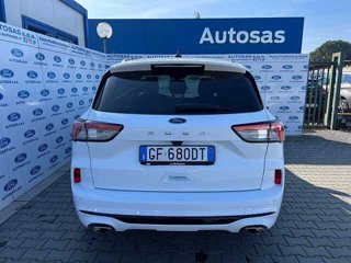 FORD Kuga 1.5 EcoBlue 120 CV 2WD ST-Line