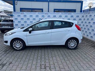 FORD Fiesta Plus 1.2 82 CV 5 porte