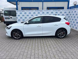 FORD Focus 1.0 EcoBoost Hybrid 125 CV 5p. ST-Line