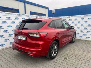 FORD Kuga 1.5 EcoBlue 120 CV 2WD ST-Line X