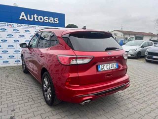 FORD Kuga 1.5 EcoBlue 120 CV 2WD ST-Line X