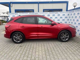 FORD Kuga 1.5 EcoBlue 120 CV 2WD ST-Line X