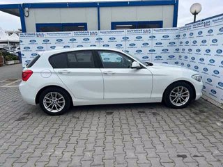 BMW 116i 5p. Urban