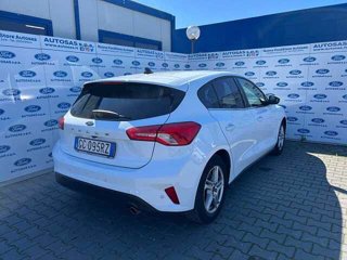 FORD Focus 1.0 EcoBoost 100 CV 5p. Business