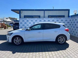 FORD Focus 1.0 EcoBoost 100 CV 5p. Business