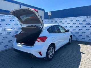 FORD Focus 1.0 EcoBoost 100 CV 5p. Business