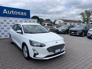 FORD Focus 1.5 EcoBlue 120 CV SW Business