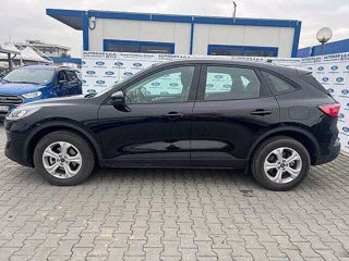 FORD Kuga 2.5 Full Hybrid 190 CV CVT 2WD Connect