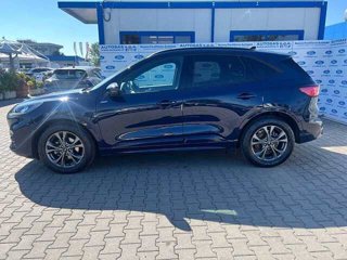 FORD Kuga 1.5 EcoBoost 150 CV 2WD ST-Line