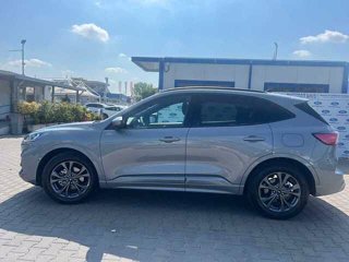 FORD Kuga 1.5 EcoBoost 150 CV 2WD ST-Line