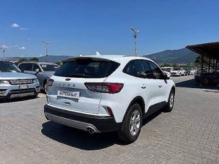 FORD Kuga 1.5 EcoBoost 120 CV 2WD Connect