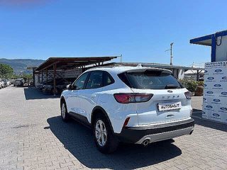 FORD Kuga 1.5 EcoBoost 120 CV 2WD Connect