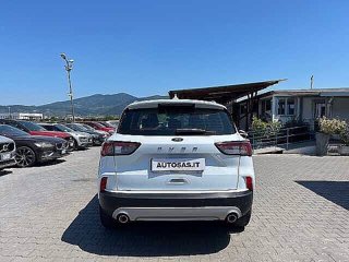 FORD Kuga 1.5 EcoBoost 120 CV 2WD Connect