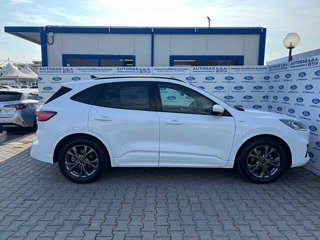 FORD Kuga 2.5 Plug In Hybrid 225 CV CVT 2WD ST-Line X