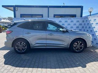 FORD Kuga 2.0 EcoBlue Hybrid 150 CV 2WD ST-Line