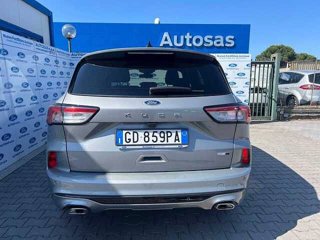 FORD Kuga 2.0 EcoBlue Hybrid 150 CV 2WD ST-Line