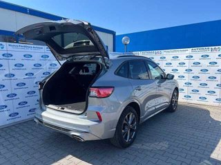 FORD Kuga 2.0 EcoBlue Hybrid 150 CV 2WD ST-Line