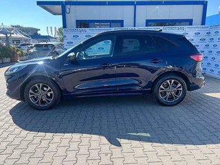 FORD Kuga 1.5 EcoBoost 150 CV 2WD ST-Line