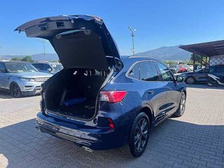 FORD Kuga 1.5 EcoBoost 150 CV 2WD ST-Line