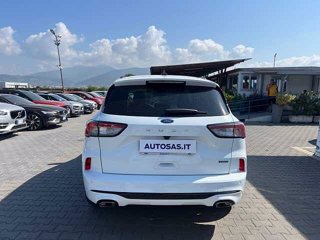 FORD Kuga 2.5 Plug In Hybrid 225 CV CVT 2WD ST-Line X