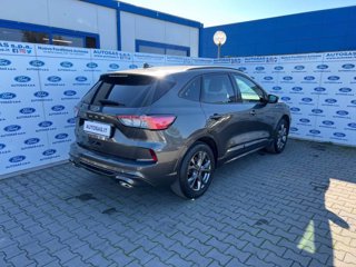 FORD Kuga 1.5 EcoBoost 150 CV 2WD ST-Line X