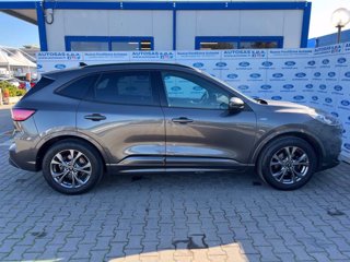 FORD Kuga 1.5 EcoBoost 150 CV 2WD ST-Line X