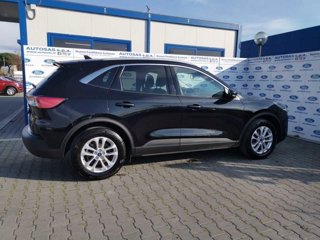 FORD Kuga 1.5 EcoBlue 120 CV 2WD Titanium