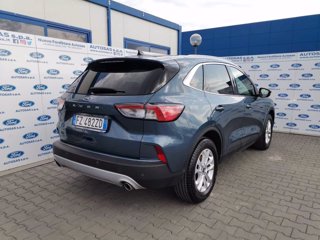 FORD Kuga 1.5 EcoBlue 120 CV 2WD Titanium