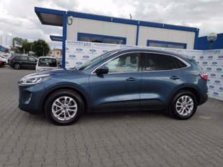 FORD Kuga 1.5 EcoBlue 120 CV 2WD Titanium