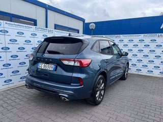 FORD Kuga 1.5 EcoBlue 120 CV 2WD ST-Line