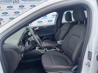 FORD Focus 1.0 EcoBoost Hybrid 125 CV SW ST-Line