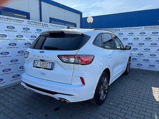 FORD Kuga 1.5 EcoBlue 120 CV 2WD ST-Line